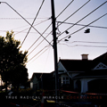 TRUE RADICAL MIRACLE "COCKROACHES" LP *READ FIRST
